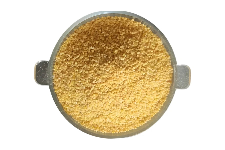 Millet à queue de renard